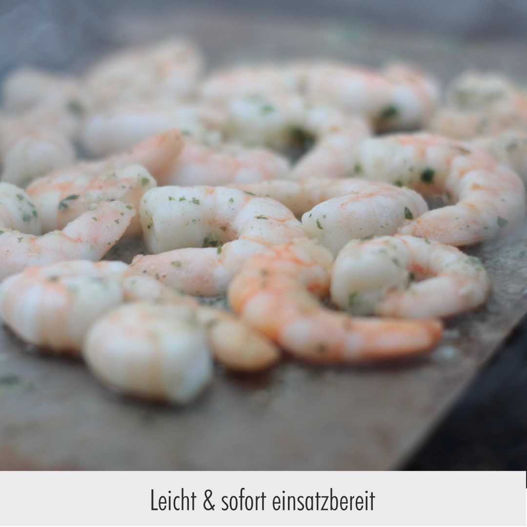 Angebot: PORSTI Grill und Plancha – Bild 5